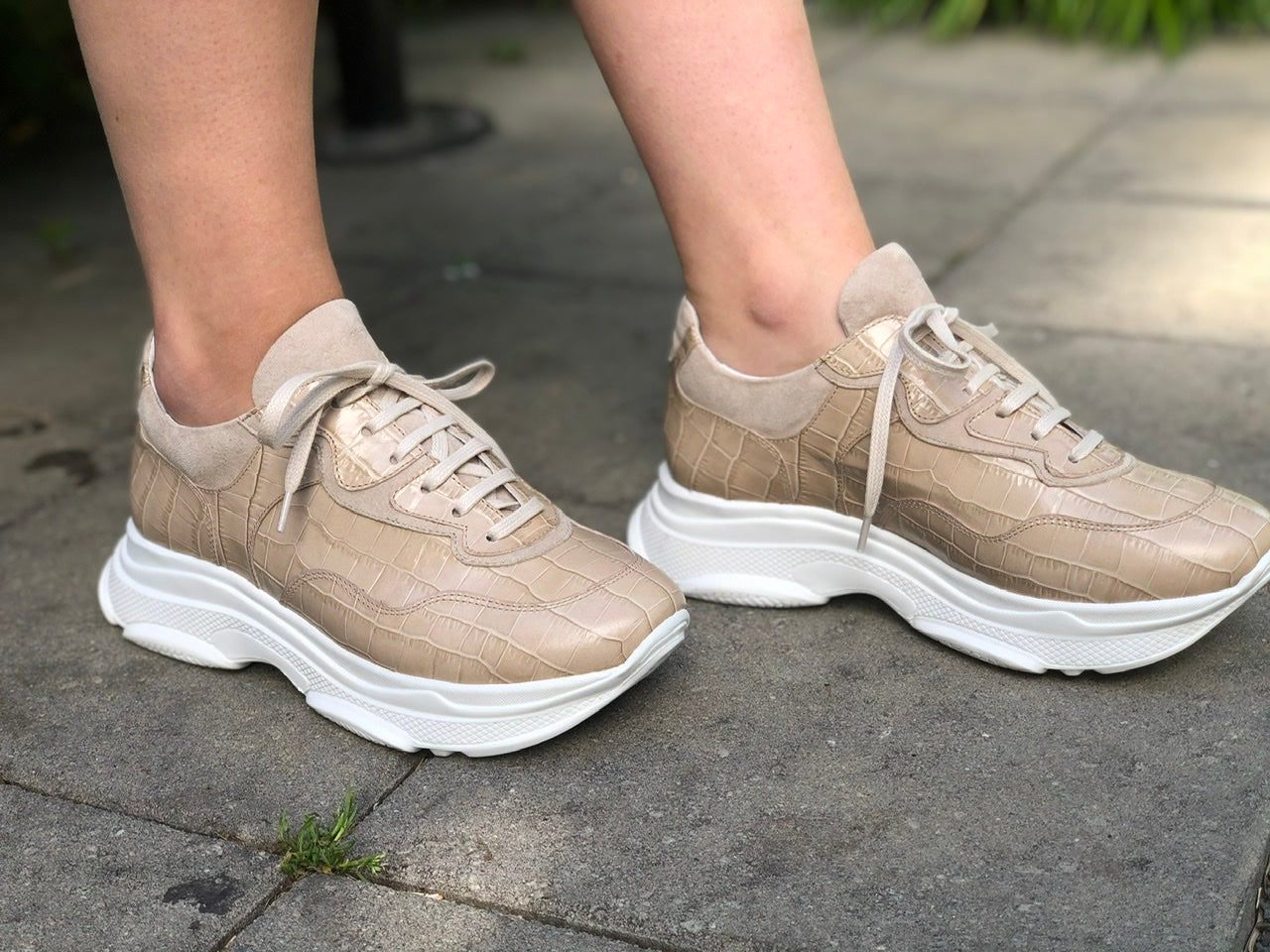 <tc>Women</tc>shoes