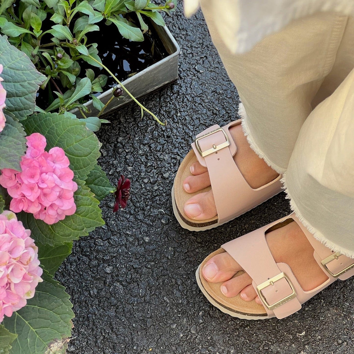 Sapatos Sandaler Lexi sandal | Old pink