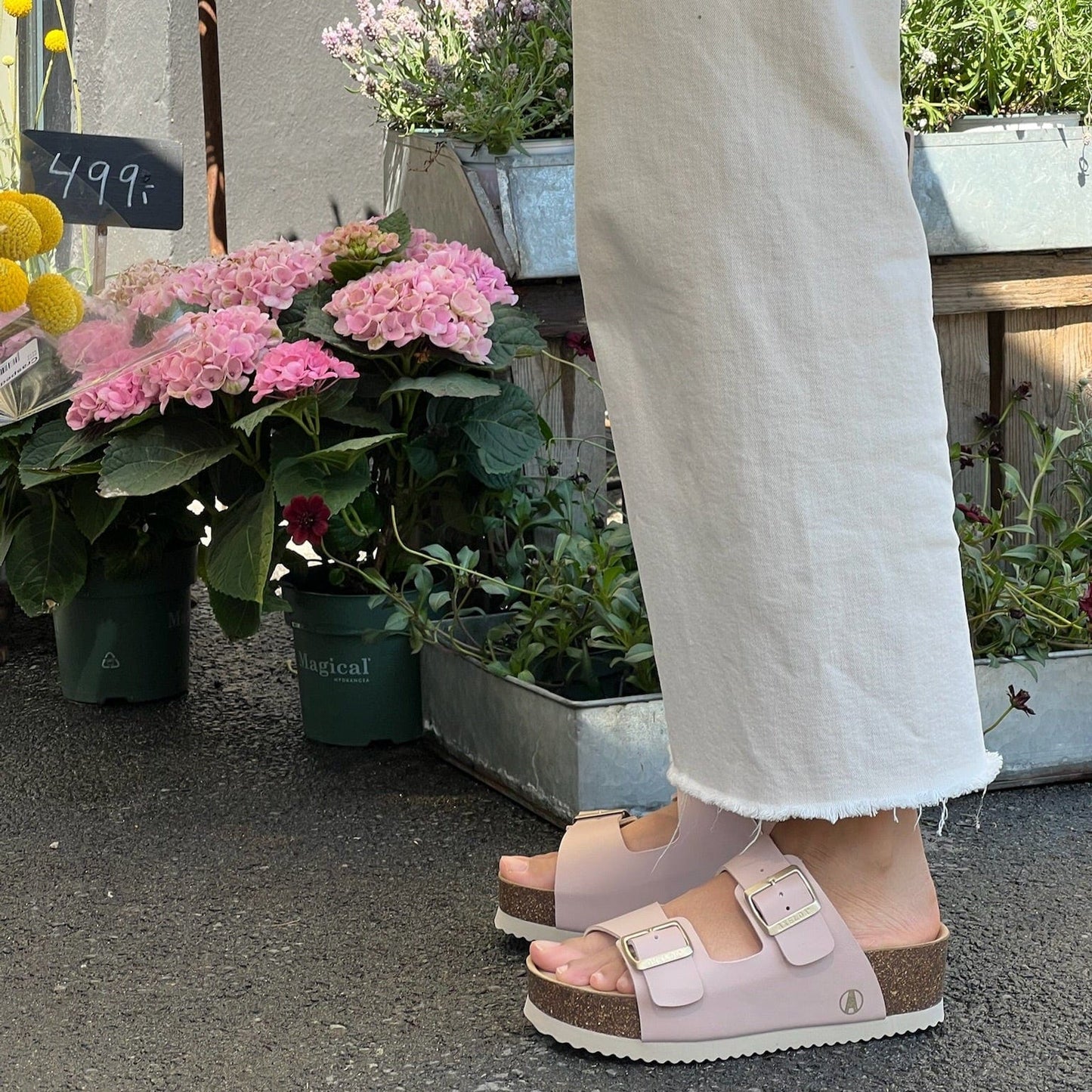 Sapatos Sandaler Lexi sandal | Old pink