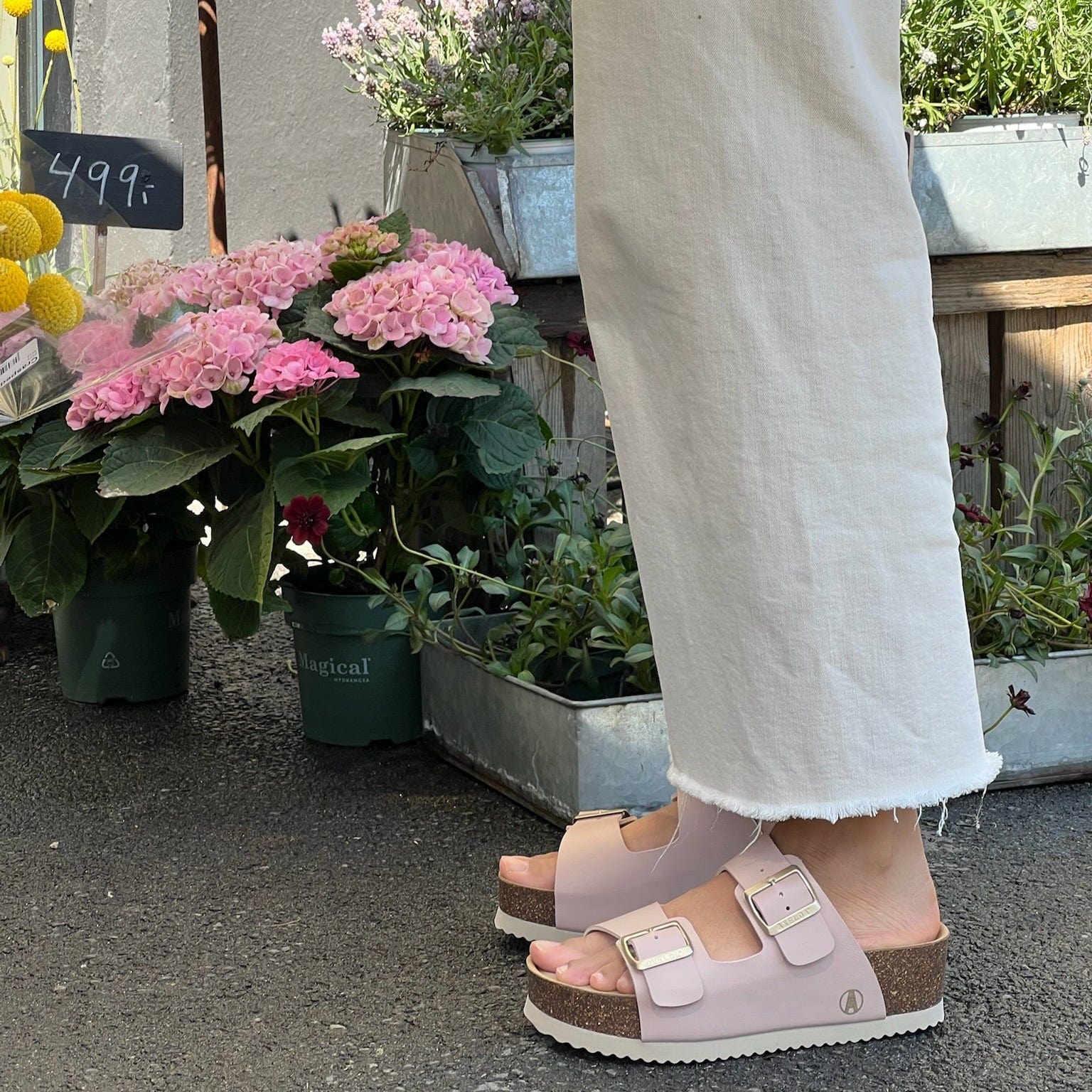 Sapatos Sandaler Lexi sandal | Old pink