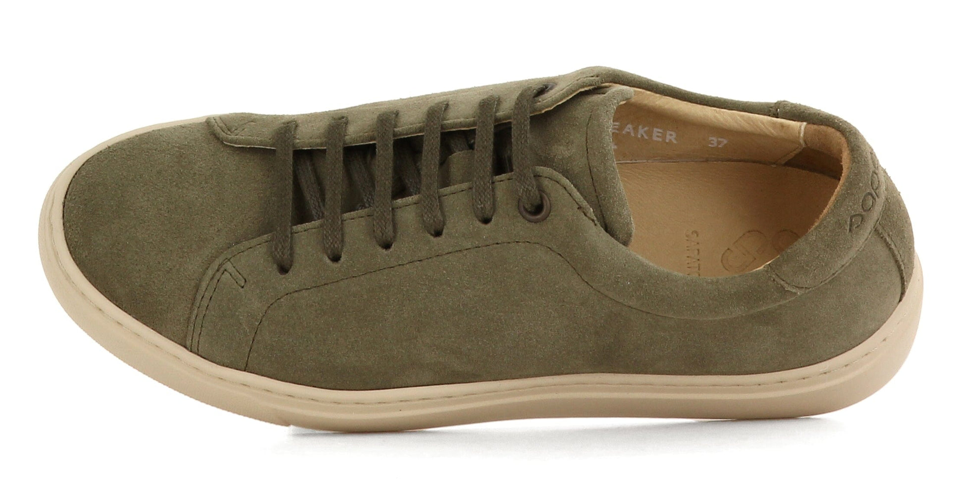 Sapatos Sneakers Charlie sneaker | Grønn