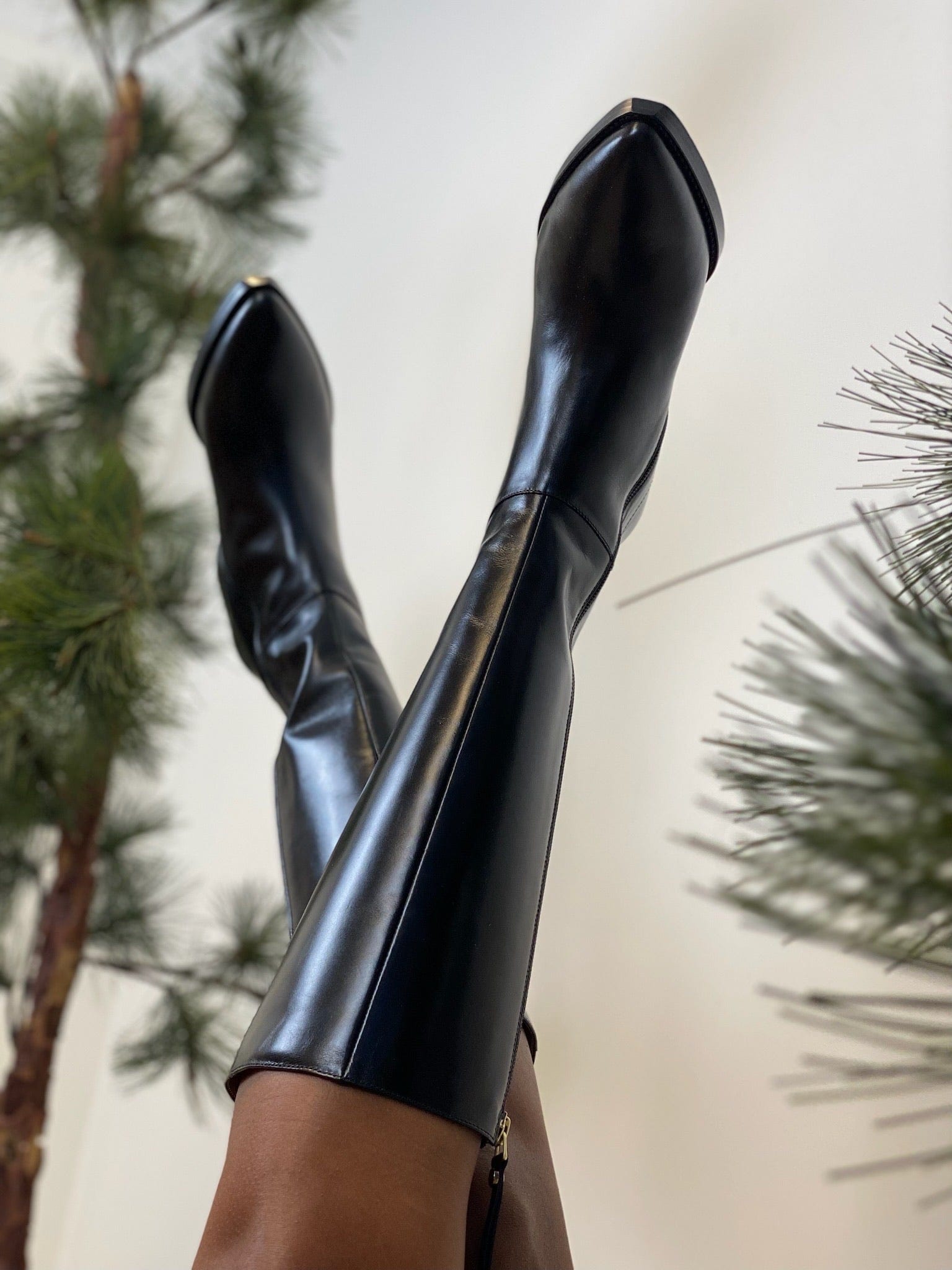 Sapatos Støvletter Ada Støvlett Sort