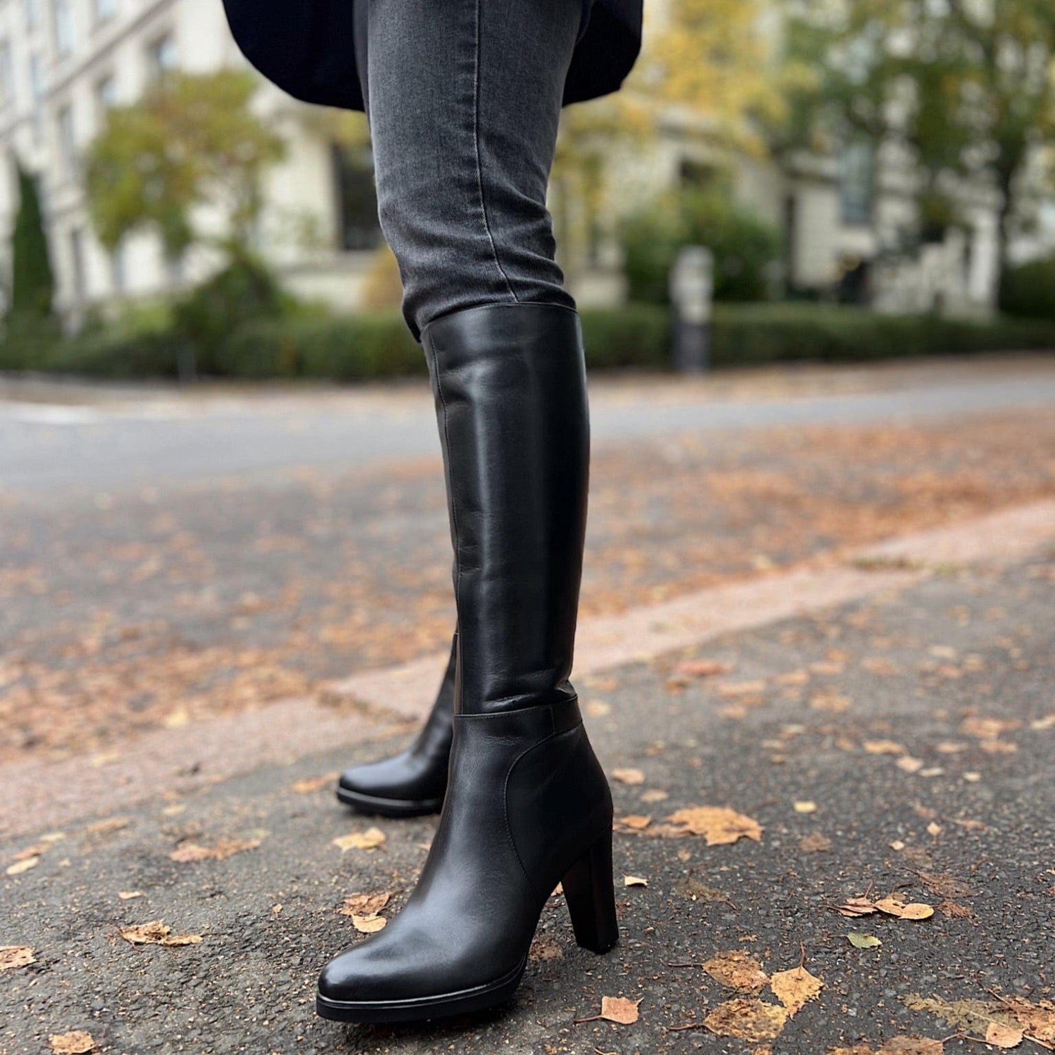 Sapatos Støvletter Nora Støvlett | Sort