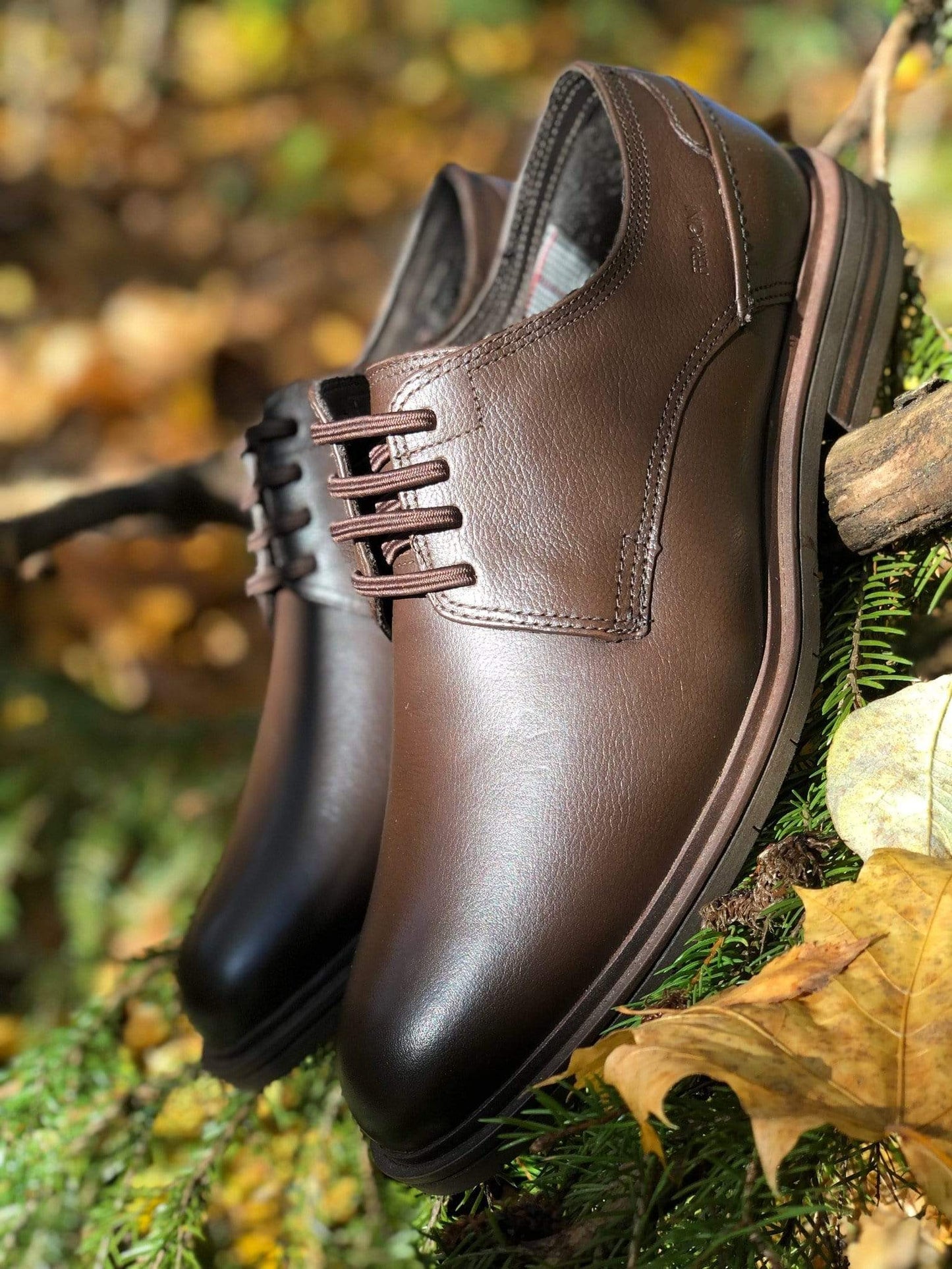 Ferracini Dressko Madrid sko Brun Sapatos
