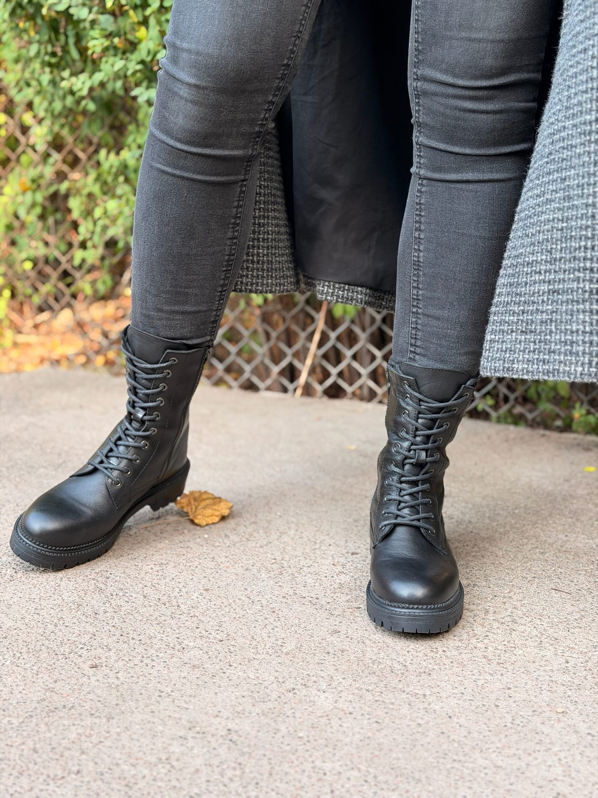 Sapatos Boots Alma boots | Sort
