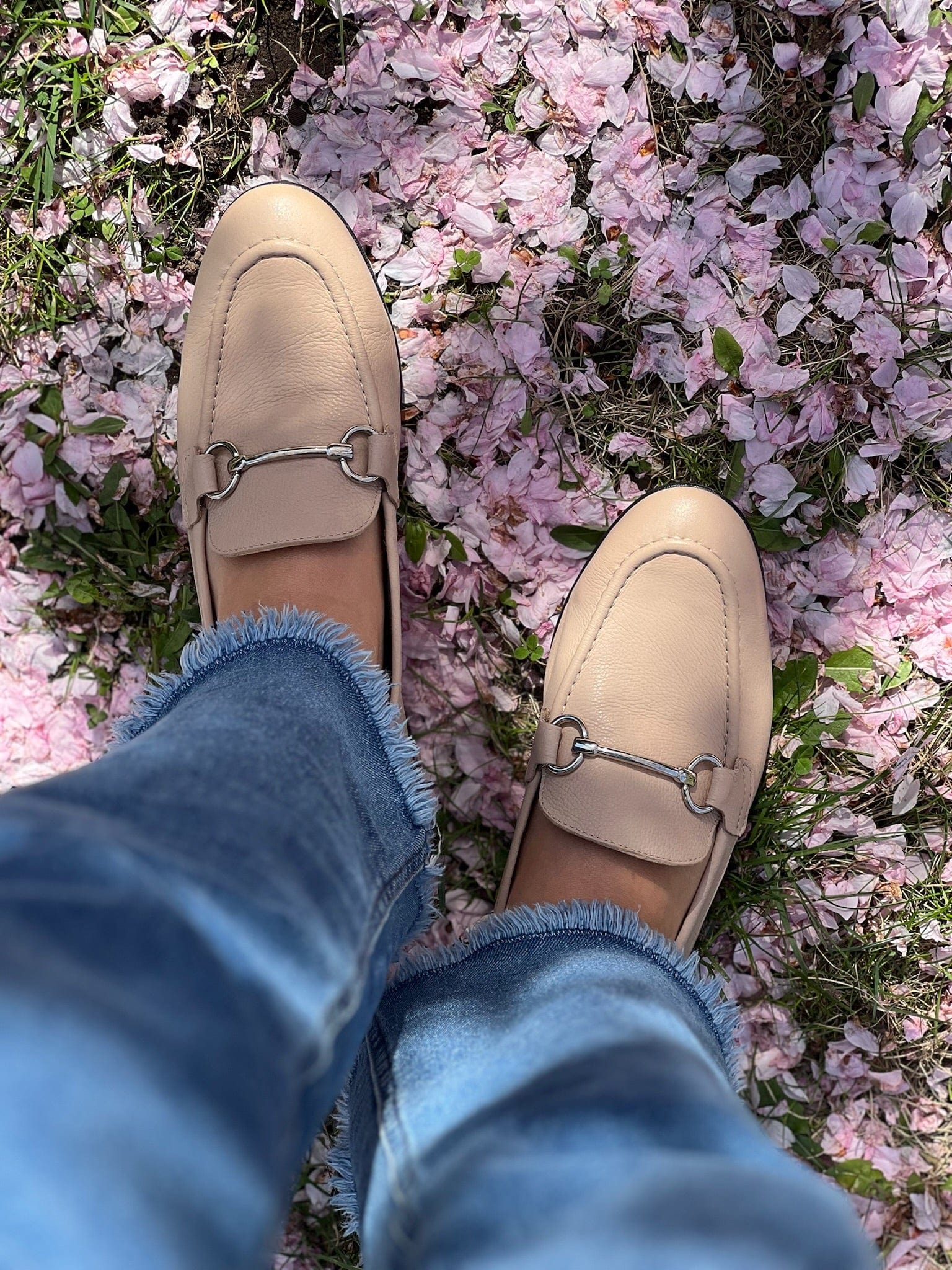 Sapatos Mokkasiner Amber mokkasin | Beige