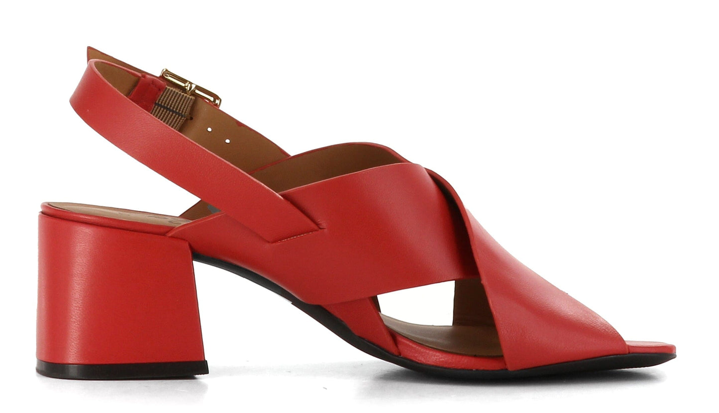 Sapatos Sandaler Pisa sandal Rød