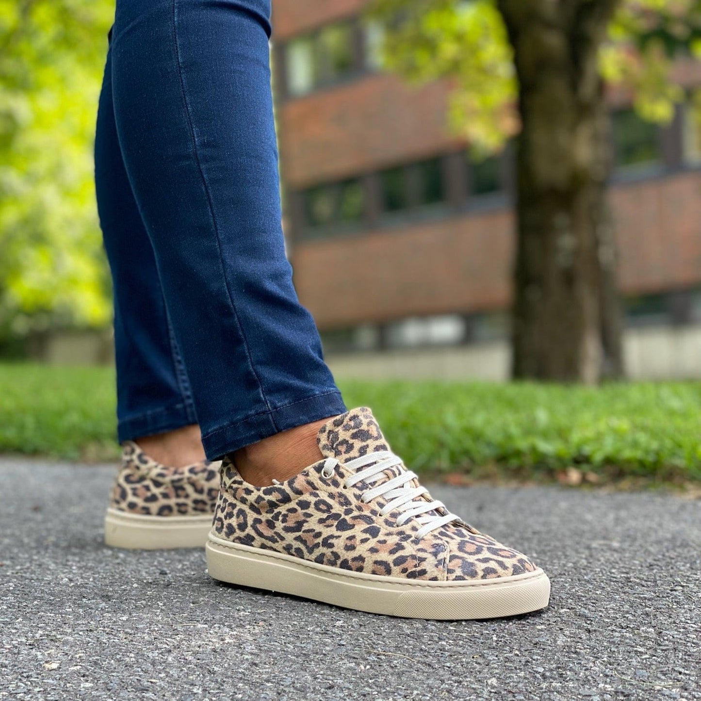 Sapatos Sneakers Charlie sneaker | Leo