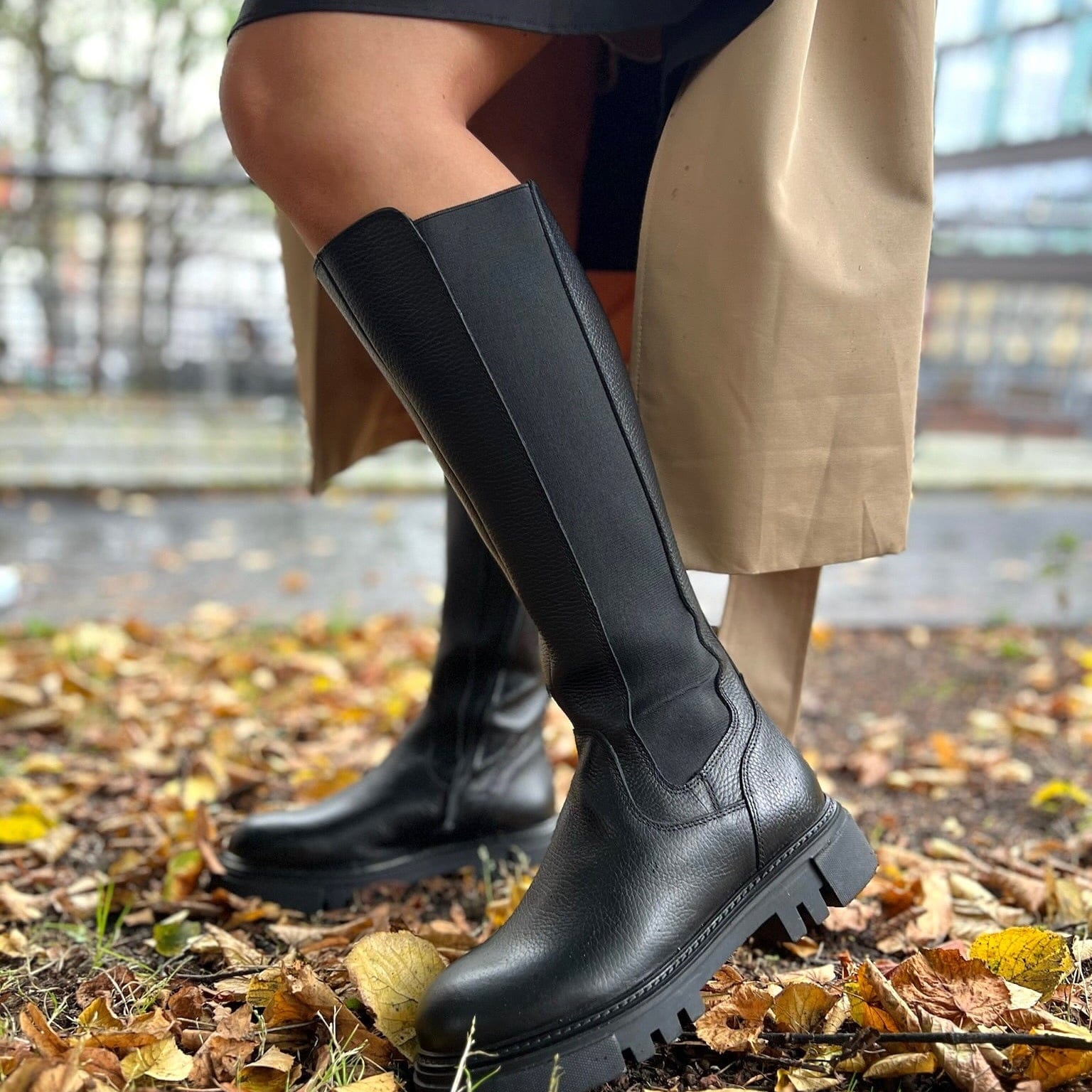 Sapatos Støvletter Maja støvlett | Sort