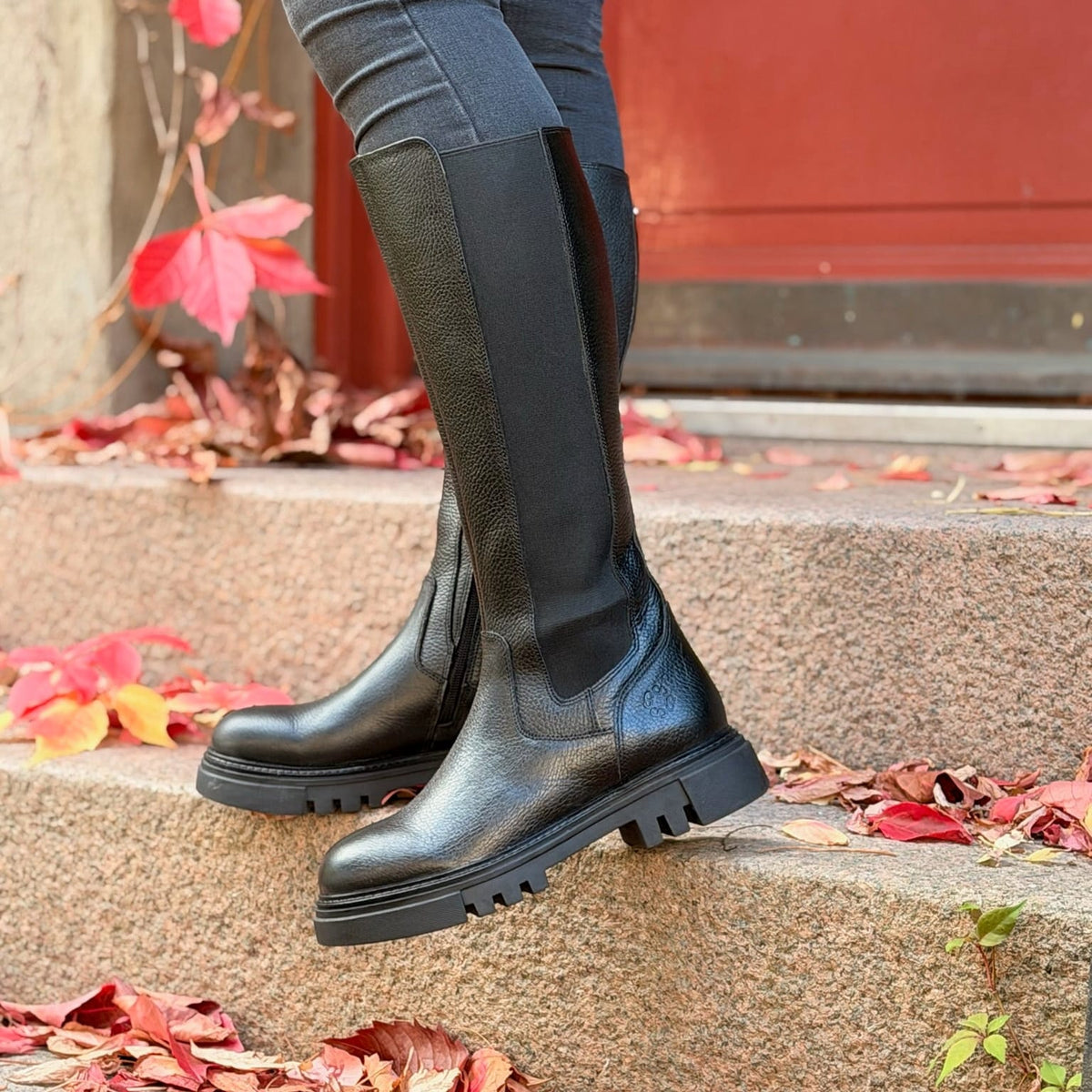 Sapatos Støvletter Maja støvlett | Sort