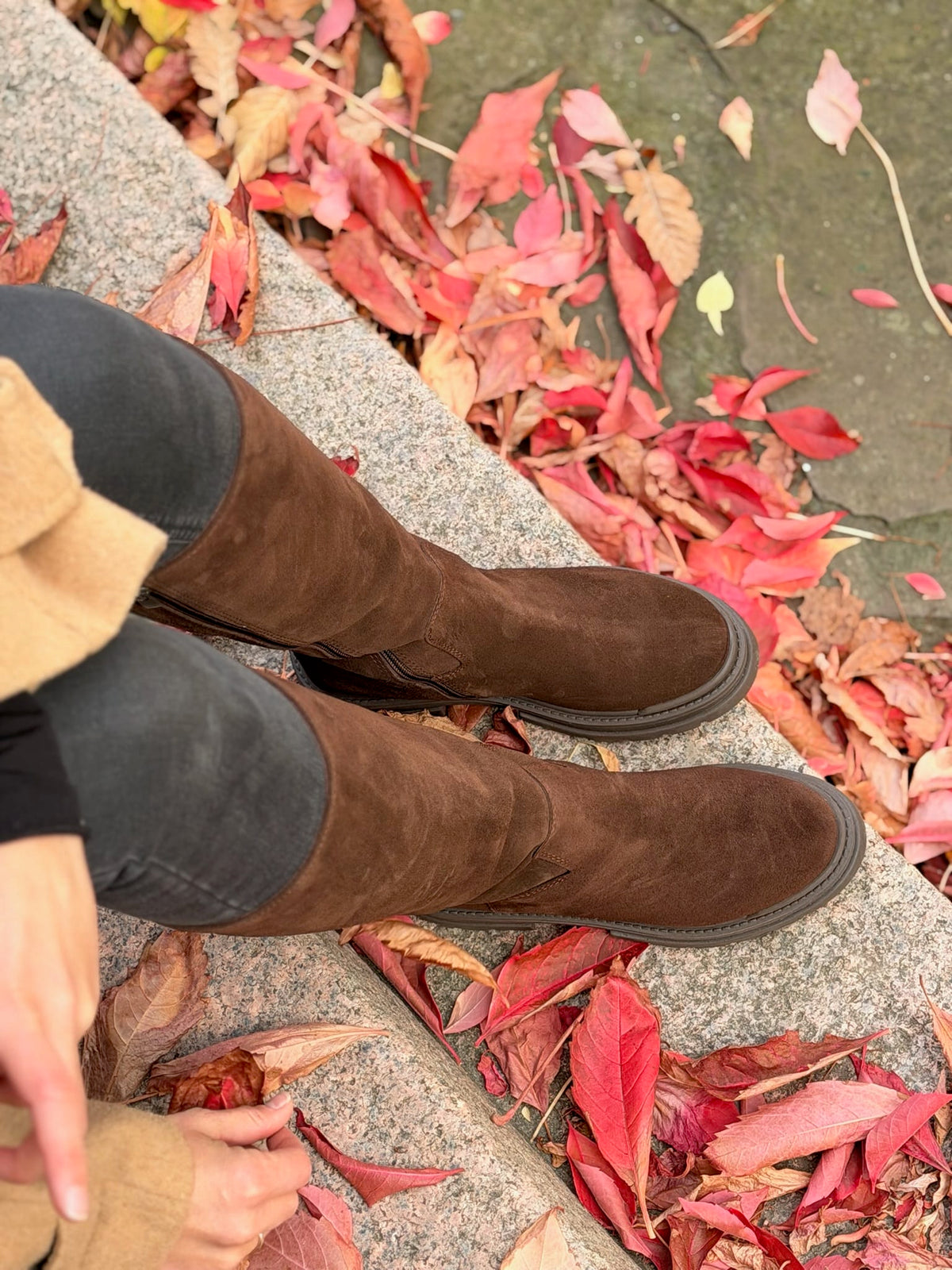 Sapatos Støvletter Vera støvlett | Brun