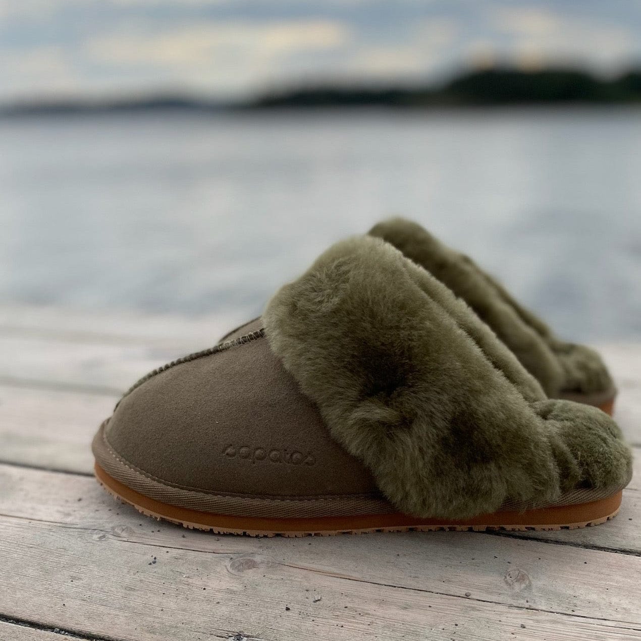 Sapatos Tøfler Røros tøffel | Grønn
