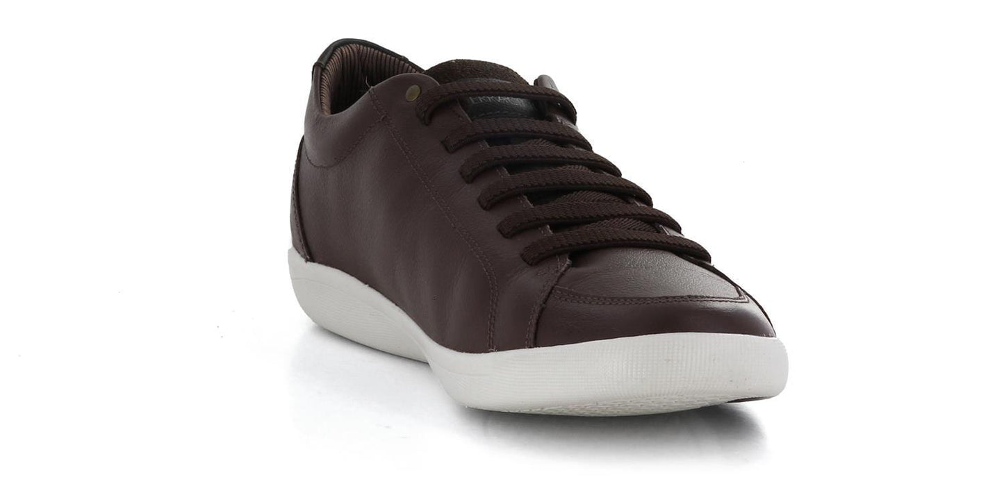 Ferracini Sneakers Infinit sneakers Brun Sapatos