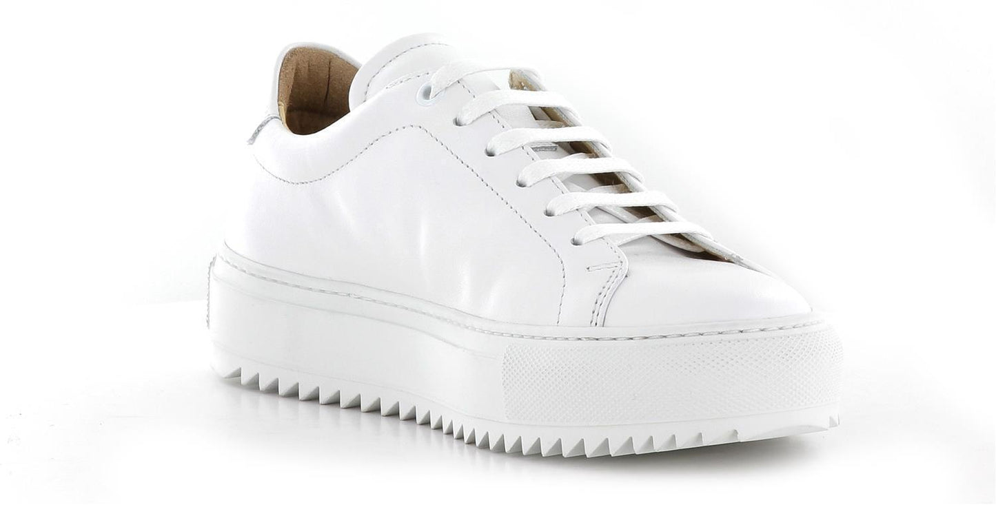 Sapatos Sneakers Stella2 sneaker Hvit Sapatos